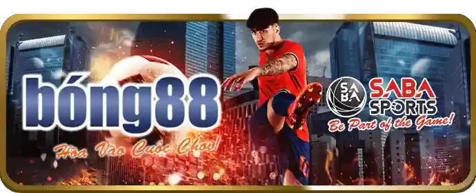 Lợi ích khi tham gia Vbet